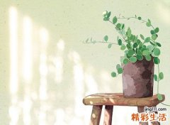 壁上土命是什么意思