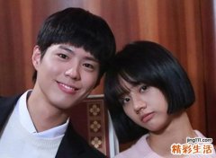 兔子和猪属相合不合