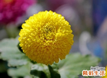 今年推荐的流行qq网名，qq昵称女生时尚好听