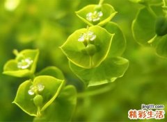 平静心态的个性网名，心态坦然的微信名字