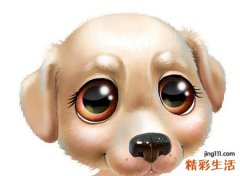 梦见一群小狗好吗，做梦梦到一群小狗一只受伤了