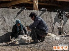 梦见别人杀羊是什么意思，梦到杀羊但是没有流血