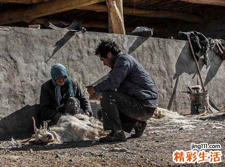梦见别人杀羊是什么意思，梦到杀羊但是没有流血