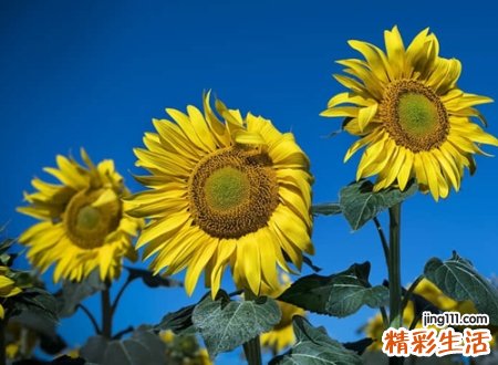 时髦前卫的qq超长个性昵称，比较前卫的网名