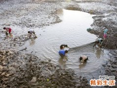 梦见别人捞鱼好不好，做梦梦到别人捉鱼自己在边上看