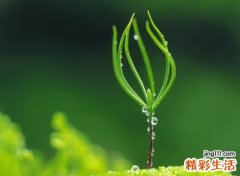 释放心情的长网名，平心静气的微信名字