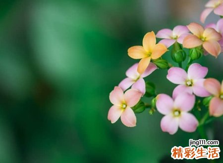 比较长的简约随意网名，简单洒脱的微信名字