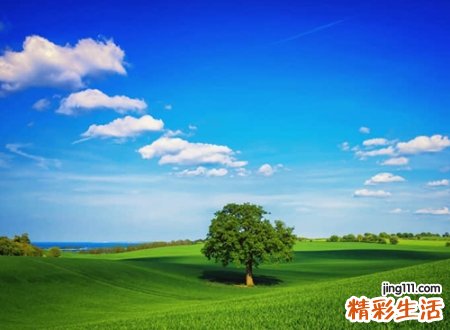 今年流行的qq长网名，好听时尚的qq个性名字