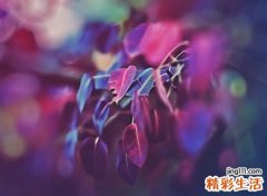 前卫新颖的12字个性网名，独特时尚的长网名