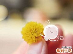 前卫流行的10个字个性名字，好听有影响力的微信长网名