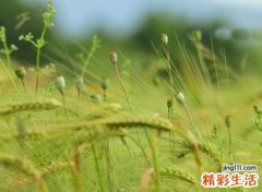 高冷感性的微信经典名字，好记又有个性的微信网名