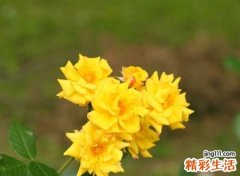 独一无二好听的微博网名，独特简单的个性名字