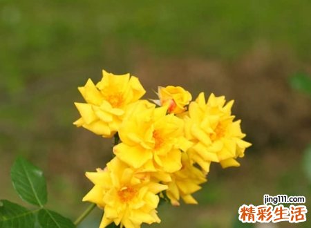 独一无二好听的微博网名，独特简单的个性名字