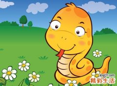 梦见自己打死蛇好吗，做梦梦到自己打死蛇眼里放绿光