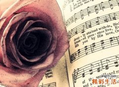 最受欢迎的抖音唯美昵称，特别有诗意的抖音名字