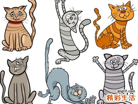 梦见猫说话好吗，梦到猫爬到房顶和我说话