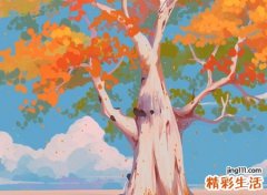 命里缺木的女人会怎么样