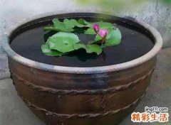 家里养鱼开缸穷三代是真的吗