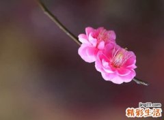 爱的主旋律长网名，好听的女生微信昵称