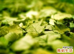 一个人长大的成熟网名，简单成熟低调的青春昵称