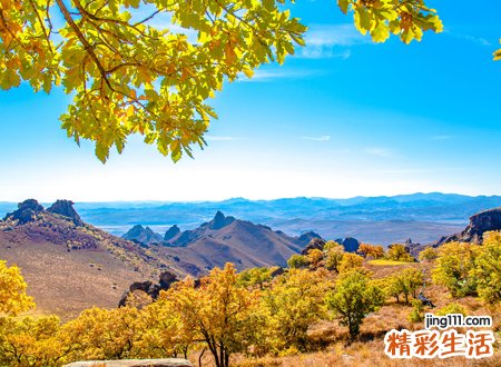 梦见自己流血是什么意思，做梦梦到自己受伤出血