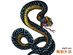 女人梦见好多蛇有什么预兆，女人梦见满地都是蛇