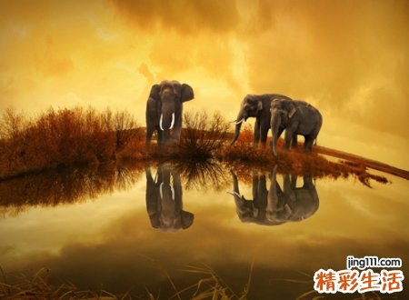 经典时尚的qq个性网名，干净好听的昵称