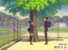 鸡的三合生肖是什么