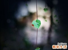 关于十年的个性网名，十年网络经典昵称