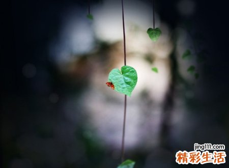 关于十年的个性网名，十年网络经典昵称