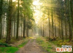 好听又容易被记住的长网名，既好听又好记的微信昵称