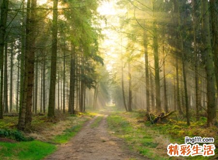 好听又容易被记住的长网名，既好听又好记的微信昵称