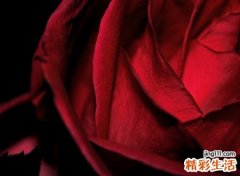 qq个性好听的长网名，好听又难忘的时尚昵称