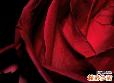 qq个性好听的长网名，好听又难忘的时尚昵称