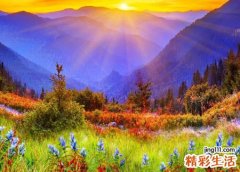 梦见自己流血好吗，做梦梦到自己血流不止