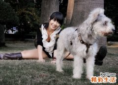 梦见狗咬自己有什么预兆，女人梦见狗把手咬破了