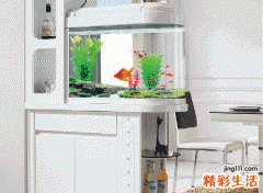 鱼缸对着进户门好不好