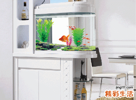 鱼缸对着进户门好不好