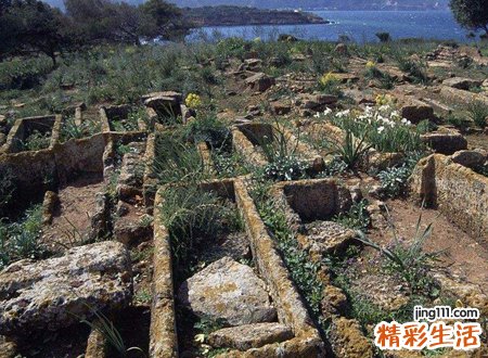 坟地最怕什么破风水