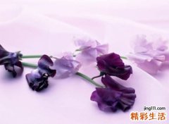 qq网名最新长版，好听又长的微信昵称