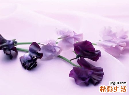 qq网名最新长版，好听又长的微信昵称