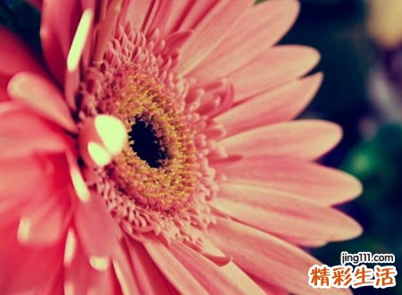 有深意的九个字微信昵称，简单有内涵的长网名