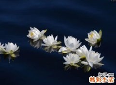 9个字的另类个性昵称，独一无二的霸气时尚网名