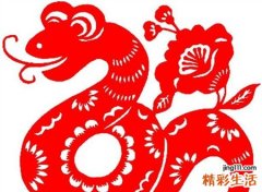 梦见大蟒蛇预示什么，已婚女人梦见大蟒蛇