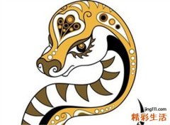 梦见别人吃蛇是什么意思，女人梦到别人吃蛇