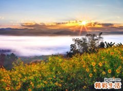 梦见别人流血好不好，女人梦见别人受伤出血