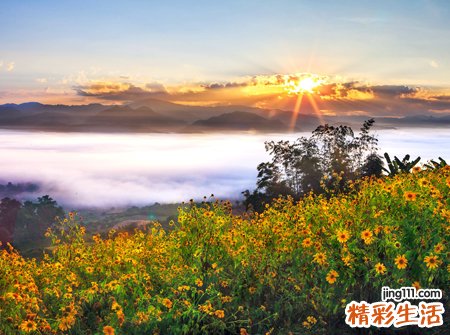 梦见别人流血好不好，女人梦见别人受伤出血
