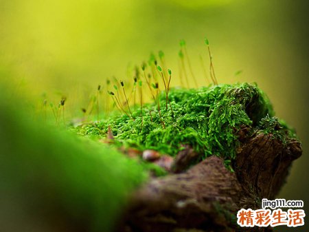 梦见别人身上有血有什么预兆，做梦梦到别人身上大量流血