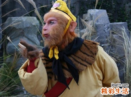 孙悟空的性格特点