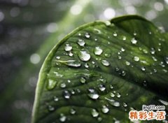 经典的个性qq昵称，超拽狠心的个性网名